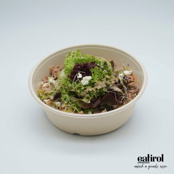 Großer gemischter Salat mit Puten Gyros und Joghurt Dressing